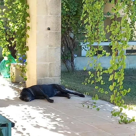 Masseria Petra Konukevi 4*