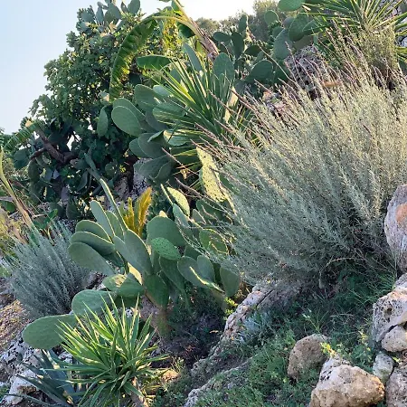 Casa de hóspedes Masseria Petra *