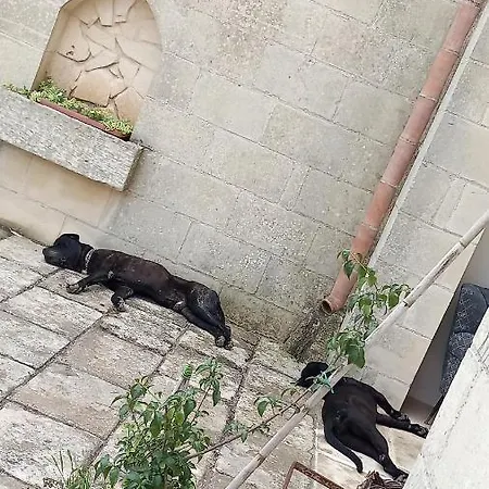 Masseria Petra Πανσιόν Martano