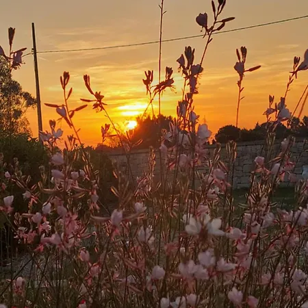 Masseria Petra Pensionat
