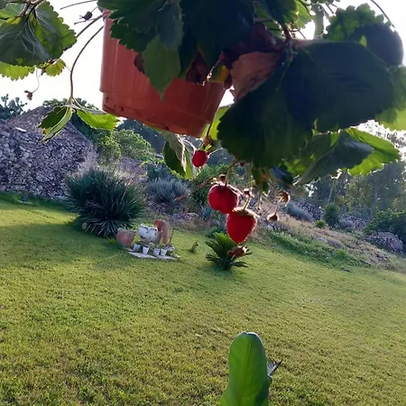 Masseria Petra * Martano