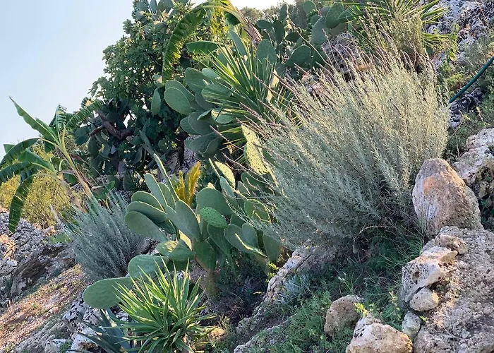 Pensión Masseria Petra 4*