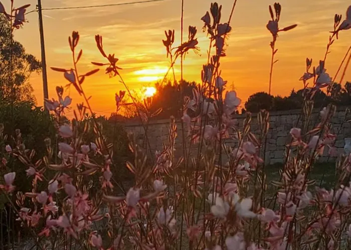Masseria Petra Pensión